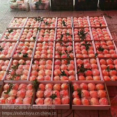 陜西臨潼石榴 紅心軟籽，新鮮直達(dá)的美味與商機(jī)